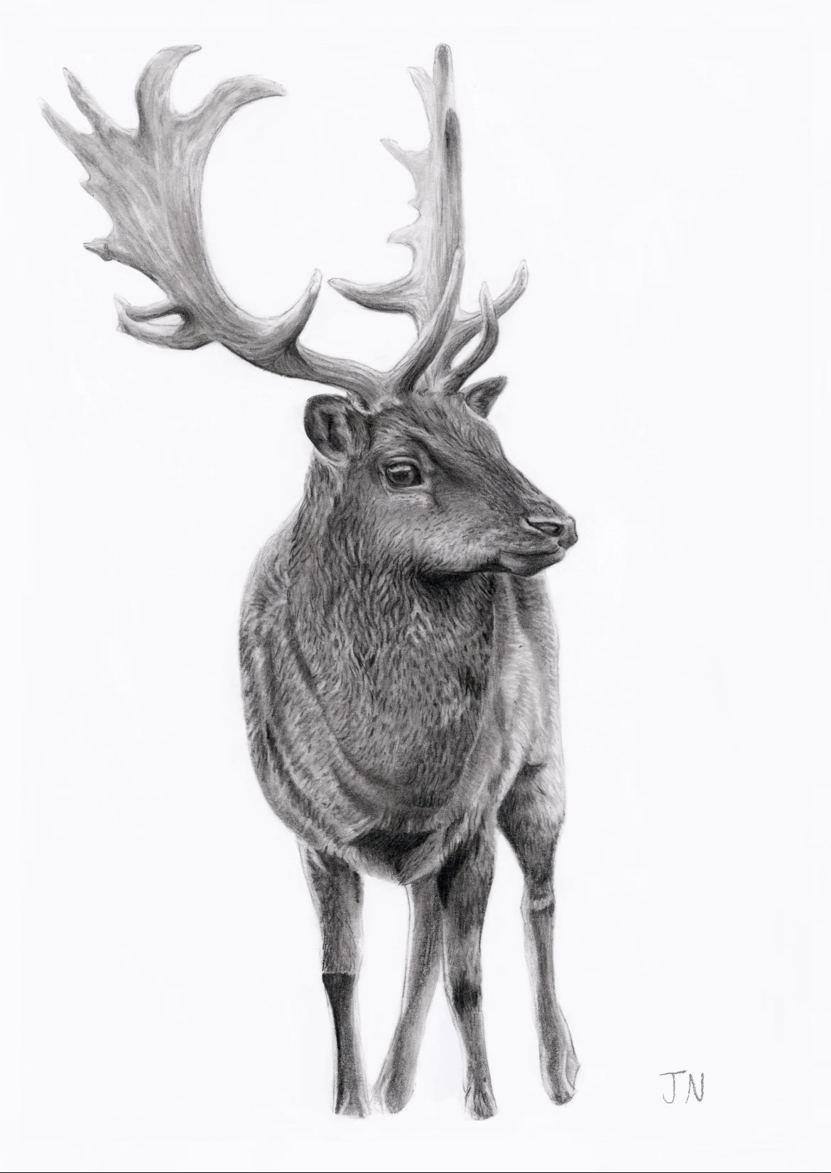 Pack of 4 Christmas cards