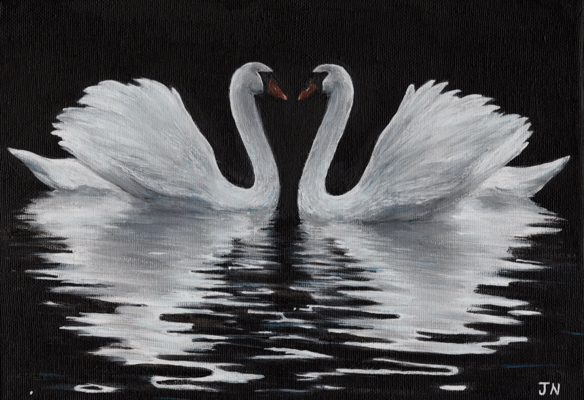 “Swans” Limited edition print