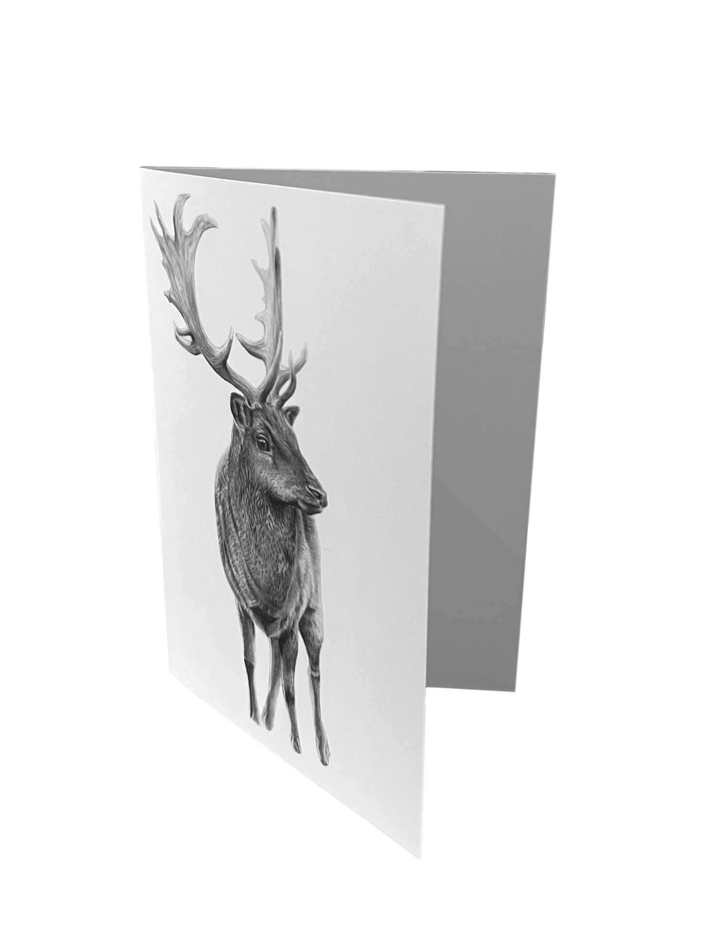 Christmas Card (Fallow Deer artwork)