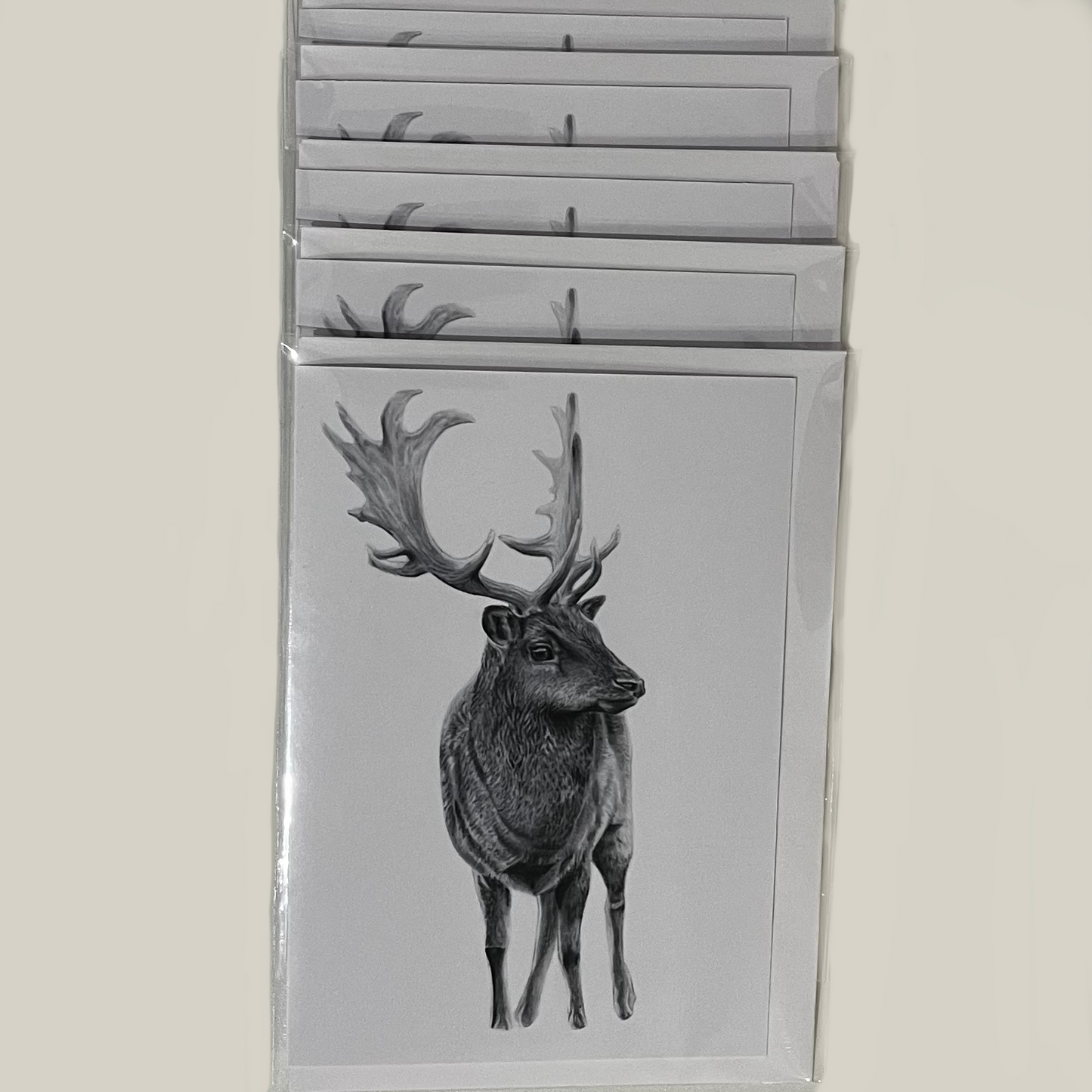 5 Christmas Cards (Fallow Deer Artwork)