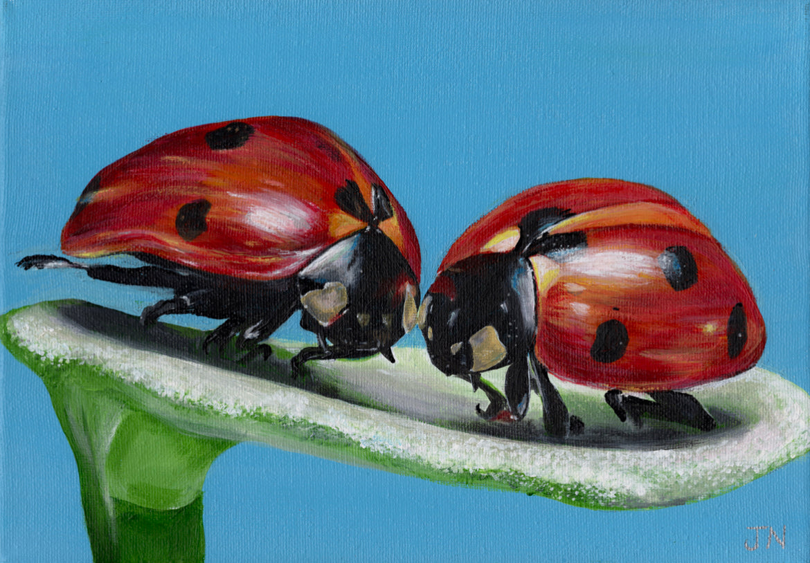 “Ladybirds” limited edition print